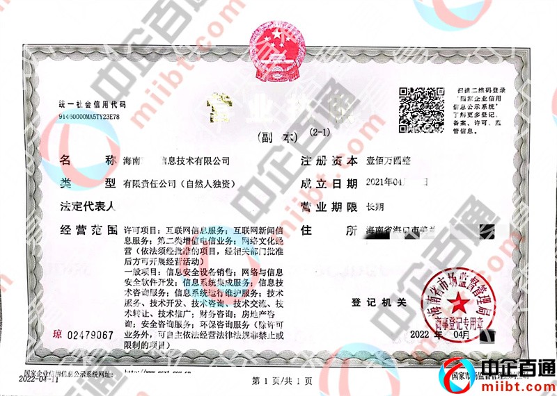 海南信息技術(shù)公司營(yíng)業(yè)執(zhí)照樣例